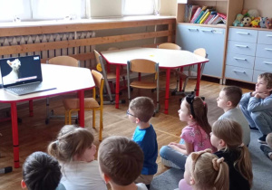 Przedszkolaki z grupy Tropiciele oglądają prezentację z różnymi gatunkami kotów.