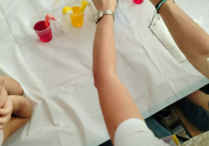 Przygotowanie eksperymentu wędrującej tęczy.