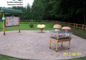 Obiekt edukacyjny Szkółki Leśnej Borowiny w Nadleśnictwie Bełchatów.