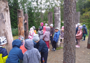 Dzieci z grupy Tropiciele i Liski poznają różne gatunki drzew na ścieżce edukacyjnej.