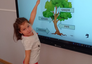 Dziewczynka w białej bluzce wskazuje palcem na napis „liście” podczas prezentacji wyświetlanej na tablicy multimedialnej.