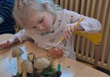 Dziewczynka siedzi przy stoliku i maluje farbami plakatowymi ziemniaka.