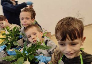 Chłopcy ze swoimi roślinkami.