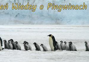 Grafika przedstawia napis „Dzień Wiedzy o Pingwinach”.