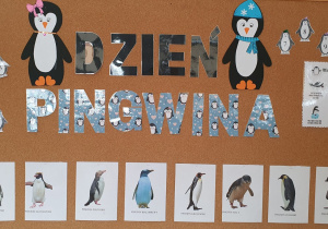 Na zdjęciu przedstawiona jest tablica z dekoracją dotyczącą Dnia Pingwina.