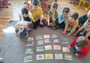 Dzieci oglądają gatunki motyli występujące w Polsce.