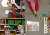 Zdjęcie przedstawia kolaż zdjęć z Dnia Wiosny w grupie Pszczółki. Dzieci omawiają budowę kwiatów, sieją rzeżuchę oraz pozują do zdjęcia z wykonaną pracą plastyczno-techniczną.