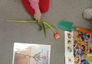 Zdjęcie przedstawia dziewczynkę wskazującą liście podczas omawiania budowy kwiatu.
