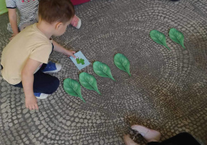 Chłopiec wykonuje na dywanie działania matematyczne przy pomocy sylwet liści szpinaku