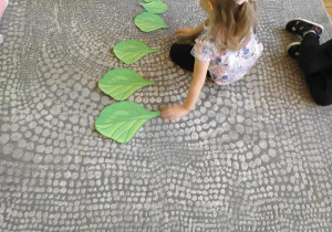 Dziewczynka układa na dywanie odpowiednią sekwencję od największego do najmniejszego liścia szpinaku