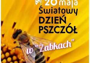 Dzień Pszczoły w „Żabkach”.