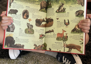 Grafika przedstawia książkę o zwierzętach trzymaną przez chłopca.