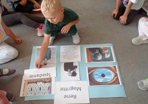 Zadanie nr 12. „Plakat inspiracji”- dzieci z grupy Pszczółki stworzyły plakat przedstawiający postać i twórczość artysty- Rene Magritte. Chłopiec pochyla się nad plakatem, dopasowuje napis z tytułem do wybranego dzieła.