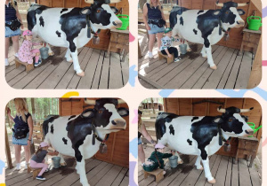 Dzieci podczas nauki dojenia krowy