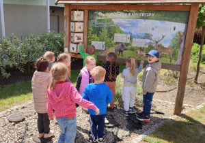 Misja las - Na tropie roślin i zwierząt. Dzieci z grupy Żabki w ogrodzie przedszkolnym tropią zwierzęta.