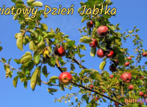 Dzień Jabłka