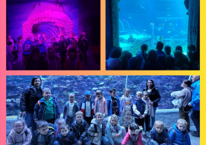 Kolaż zdjęć dzieci z grupy Pszczółki podczas zwiedzania oceanarium.