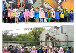 Kolaż prezentujący dzieci z grupy Tropiciele w trakcie zwiedzania Zoo.
