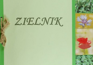 Plansza przedstawiająca roślinność ,,wiosennego zielnika”.