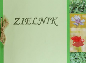 ,,Zielnik wiosenny” w grupie Misie