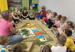 Dzieci z grupy Misie nazywają zebrane na łące rośliny i tworzą kartki do ,,Zielnika wiosennego”.