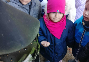 Dzieci dokarmiają ptaki.