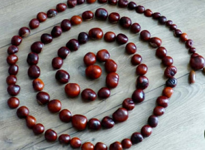 Zabawy z kasztanami w Stokrotkach