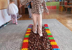Dziewczynka idzie po ścieżce sensorycznej ułożonej z kasztanów.