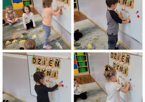 Kolaż zdjęć dzieci układających dynie zgodnie z sekwencją.