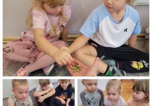 Kolaż zdjęć dzieci siedzących na dywanie i kosztujących pestek dyni.