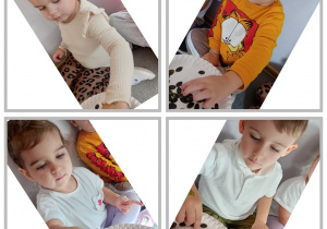 Kolaż czterech zdjęć, na których dzieci częstują się pestkami dyni.