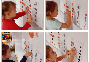 Kolaż – dzieci łączą obrazki dyni z cieniami.