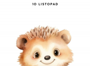 Dzień Jeża w Biedronkach