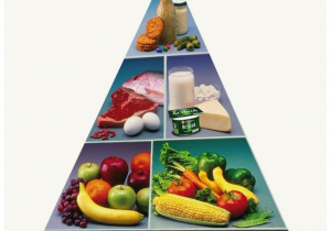 Obrazek piramidy żywieniowej.