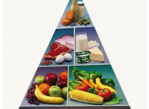 Zdrowe odżywianie - grupa Motylki