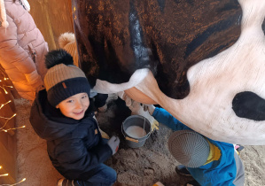 Chłopiec z grupy „Misie” doi krowę.