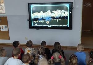 Dzieci oglądają film wyświetlany na tablicy multimedialnej dotyczący ciekawostek na temat śniegu.