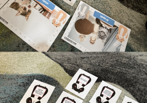 Kolaż przedstawia ciekawostki na temat kotów oraz zasady dbania o te zwierzęta na rozłożone na dywanie