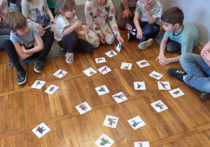 Zdjęcie przedstawia dziecko szukające pary dinozaurów.