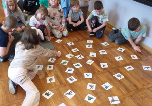 Zdjęcie przedstawia dziecko szukające pary dinozaurów.