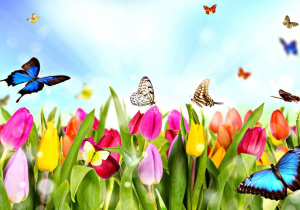 Spacer „Biedroneczek”