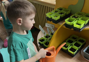 Chłopiec podlewa swoją roślinkę.