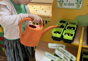 Dziewczynka podlewa swoją roślinkę.