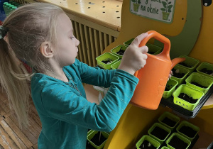 Dziewczynka podlewa swoją roślinkę.