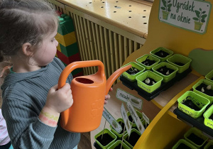 Dziewczynka podlewa swoją roślinkę.