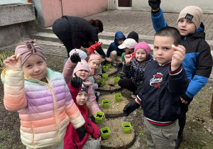 Dzieci przygotowują cebulki do zasadzenia w doniczkach.
