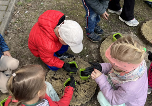 Dzieci sadzą cebulki do przygotowanych doniczek.