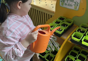 Dziewczynka podlewa swoją roślinkę.