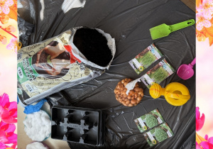 Zdjęcie przedstawia przygotowaną ziemię, łopatki, nasionka, konewkę, doniczki przygotowane dla dzieci