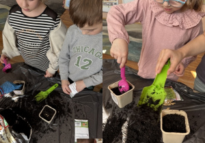 Kolaż przedstawia dzieci sypiące ziemię i ziarenka do własnych doniczek